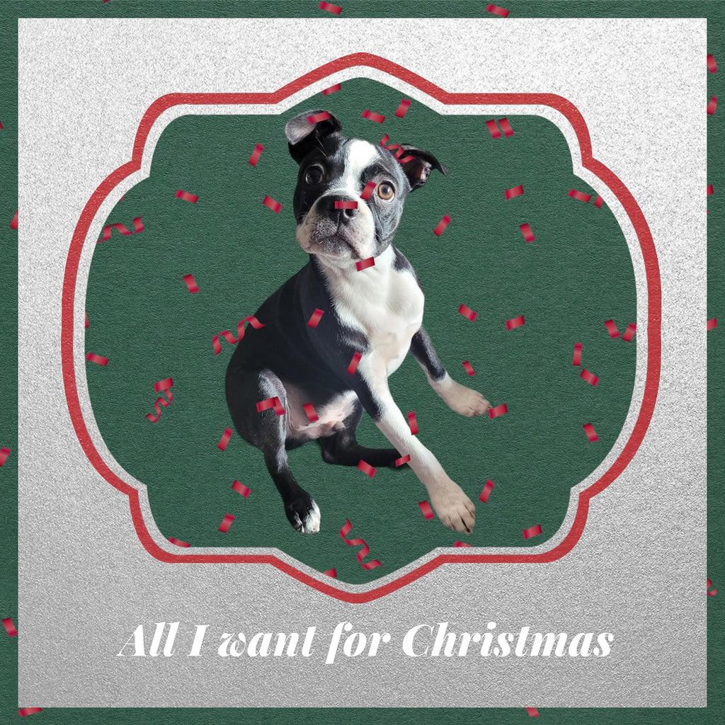 Happy Holiday - Shipping Information
