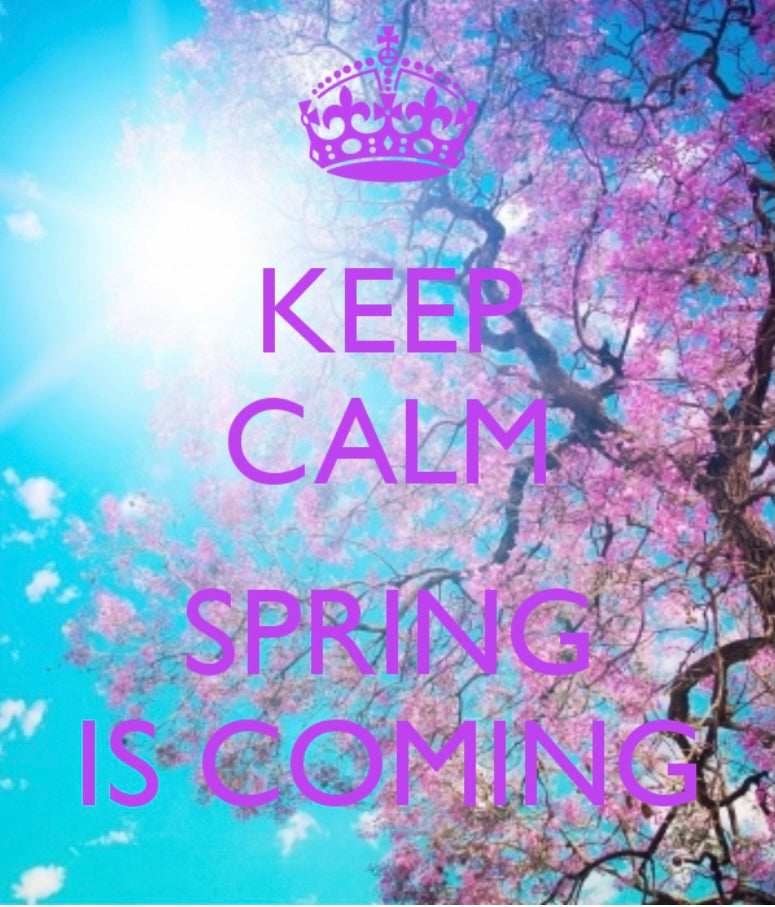It is starting to look like Spring.