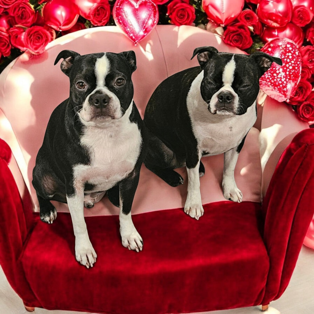 Donβt forget your β€οΈπ sweetheart this Valentines Day, π
