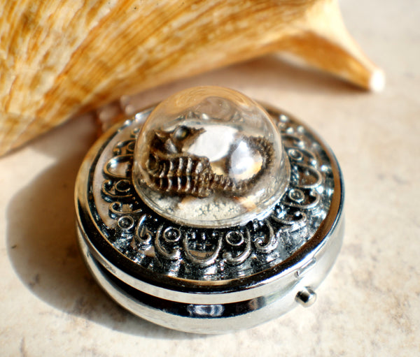 Music box locket,  round locket with music box inside, in silvertone with tiny sea life treasures encased in glass - Char's Favorite Things - 2