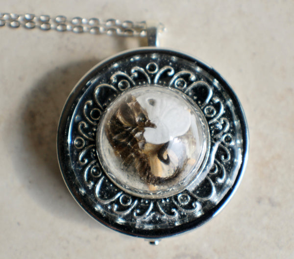 Music box locket,  round locket with music box inside, in silvertone with tiny sea life treasures encased in glass - Char's Favorite Things - 3